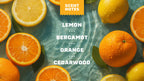 Scent notes graphic used on Dr. Squatch product pages