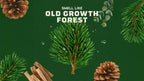 Scent inspiration imagery used on Dr. Squatch product pages