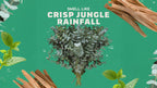 Scent inspiration imagery used on Dr. Squatch product pages